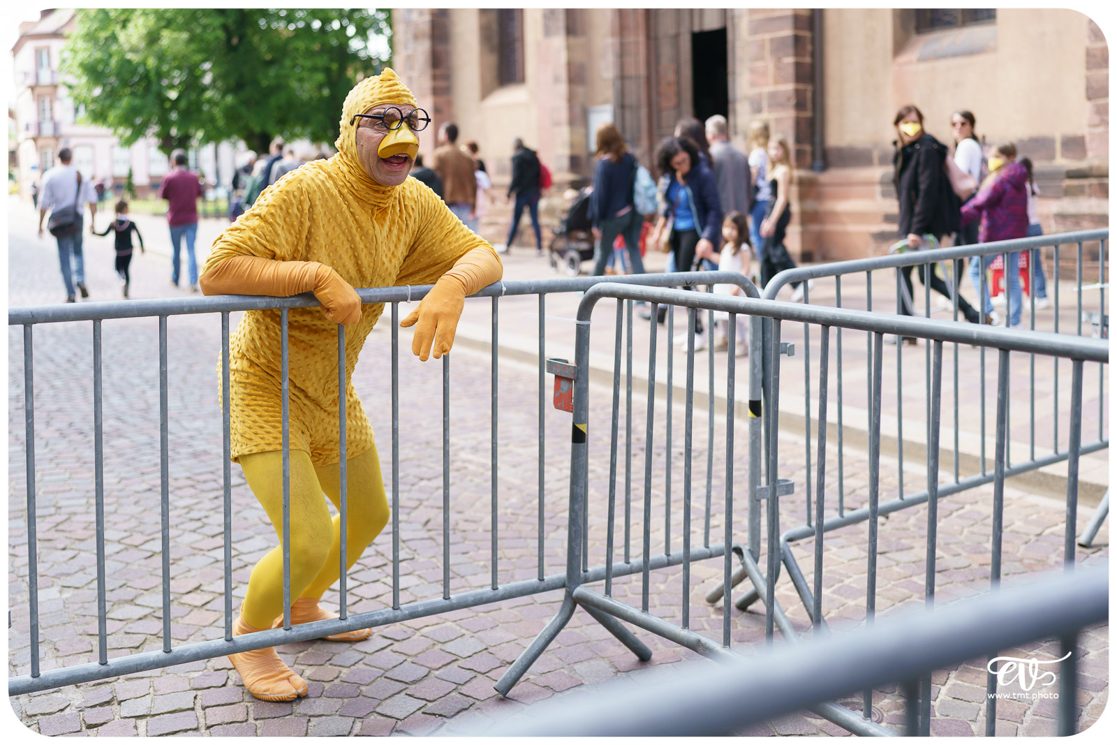 UN POUR TOUS TOUS POUSSIN ! - LES ARTS PITRES